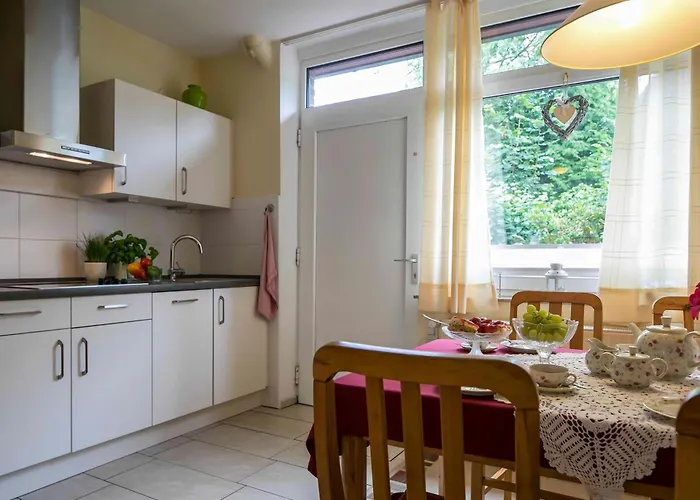 An Der Baeke D 巴德茨维什安